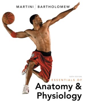 Essentials of Anatomy and Physiology 6th 6E