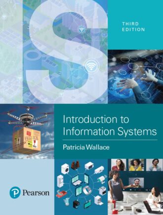 Introduction to Information Systems 3rd 3E