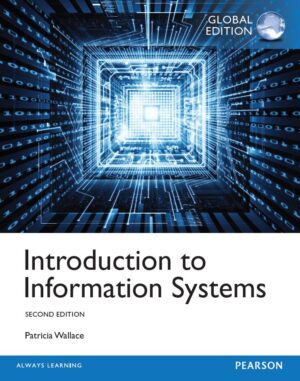Introduction to Information Systems 2nd 2E Patricia Wallace