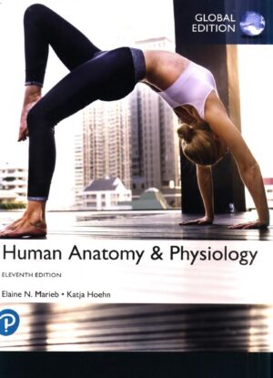 Human Anatomy and Physiology 11th 11E Elaine Marieb