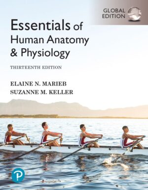 Essentials of Human Anatomy and Physiology 13th 13E Elaine Marieb