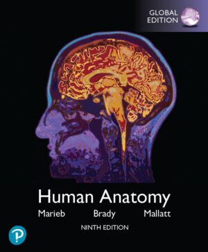 Human Anatomy 9th 9E Elaine Marieb Patricia Brady