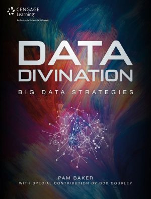 Data Divination Big Data Strategies Pam Baker