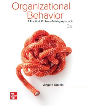 Organizational Behavior A Practical Problem-Solving Approach 3rd 3E