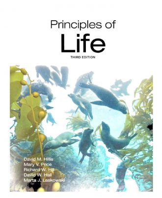 Principles of Life 3rd 3E David Hillis Mary Price
